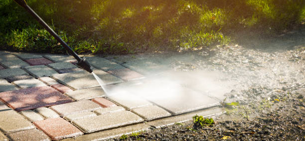 Animal Enclosure Cleaning in Knox, PA
